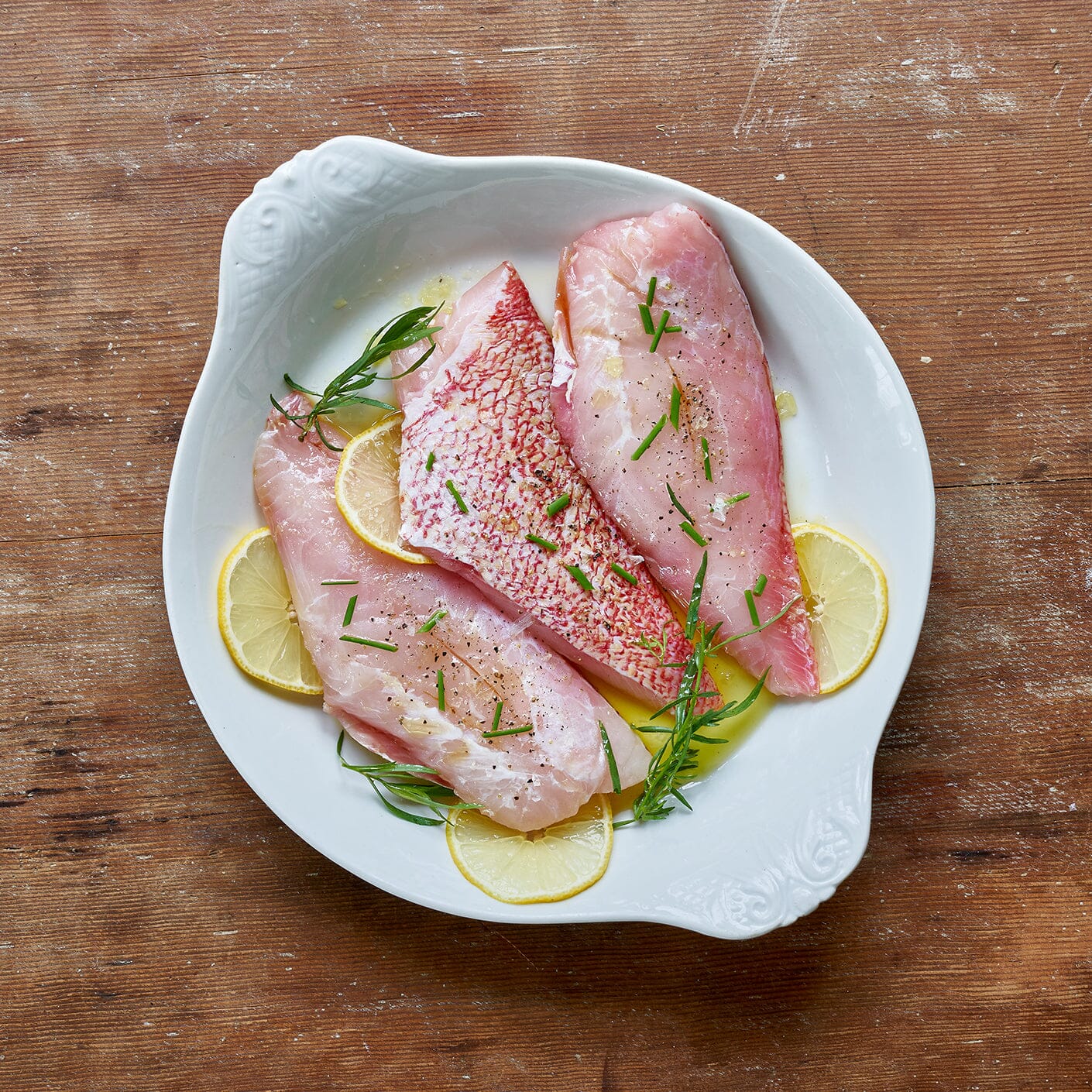 Scarlet Snapper - Image 3