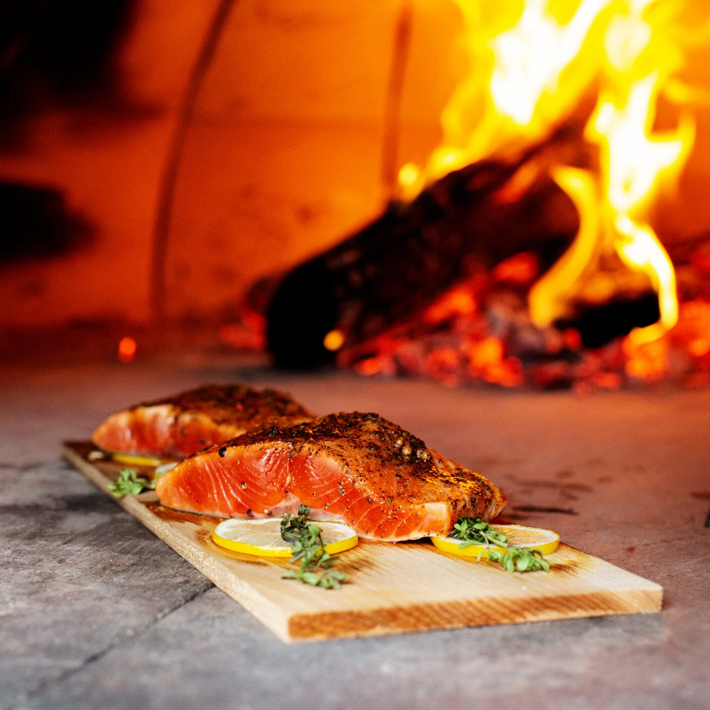 Coho Salmon - Image 4